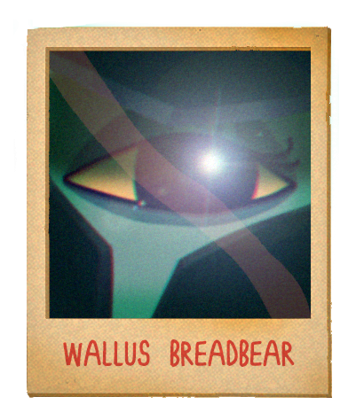 a photograph of wallus breadbear